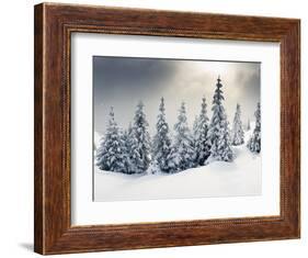 Trees Covered with Hoarfrost and Snow in Mountains-Leonid Tit-Framed Photographic Print