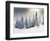 Trees Covered with Hoarfrost and Snow in Mountains-Leonid Tit-Framed Photographic Print