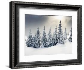 Trees Covered with Hoarfrost and Snow in Mountains-Leonid Tit-Framed Photographic Print