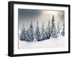 Trees Covered with Hoarfrost and Snow in Mountains-Leonid Tit-Framed Photographic Print