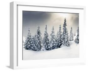 Trees Covered with Hoarfrost and Snow in Mountains-Leonid Tit-Framed Photographic Print