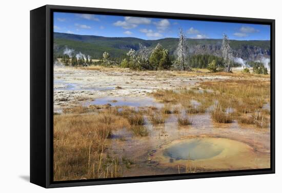 Trees Crusted in Frost and Thermal Features, Cold Autumn (Fall) Day, Upper Geyser Basin-Eleanor Scriven-Framed Stretched Canvas