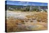 Trees Crusted in Frost and Thermal Features, Cold Autumn (Fall) Day, Upper Geyser Basin-Eleanor Scriven-Stretched Canvas