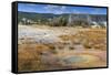 Trees Crusted in Frost and Thermal Features, Cold Autumn (Fall) Day, Upper Geyser Basin-Eleanor Scriven-Framed Stretched Canvas