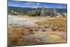 Trees Crusted in Frost and Thermal Features, Cold Autumn (Fall) Day, Upper Geyser Basin-Eleanor Scriven-Mounted Photographic Print