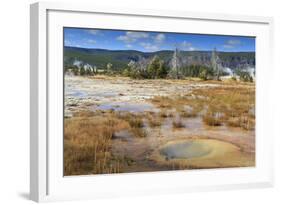 Trees Crusted in Frost and Thermal Features, Cold Autumn (Fall) Day, Upper Geyser Basin-Eleanor Scriven-Framed Photographic Print