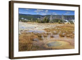 Trees Crusted in Frost and Thermal Features, Cold Autumn (Fall) Day, Upper Geyser Basin-Eleanor Scriven-Framed Photographic Print