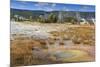 Trees Crusted in Frost and Thermal Features, Cold Autumn (Fall) Day, Upper Geyser Basin-Eleanor Scriven-Mounted Photographic Print