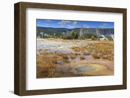 Trees Crusted in Frost and Thermal Features, Cold Autumn (Fall) Day, Upper Geyser Basin-Eleanor Scriven-Framed Photographic Print