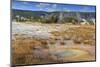 Trees Crusted in Frost and Thermal Features, Cold Autumn (Fall) Day, Upper Geyser Basin-Eleanor Scriven-Mounted Photographic Print