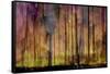 Trees Cry-Jacob Berghoef-Framed Stretched Canvas