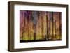 Trees Cry-Jacob Berghoef-Framed Photographic Print