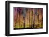 Trees Cry-Jacob Berghoef-Framed Photographic Print