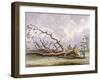 Trees Damaged by a Storm of 15th October, Roehampton, London, 1780-Edwin Edwards-Framed Giclee Print