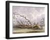 Trees Damaged by a Storm of 15th October, Roehampton, London, 1780-Edwin Edwards-Framed Giclee Print