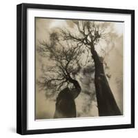 Trees, Discovery Park-Kevin Cruff-Framed Photographic Print