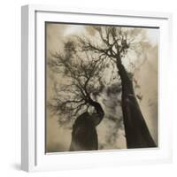 Trees, Discovery Park-Kevin Cruff-Framed Photographic Print