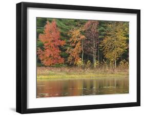 Trees during season change with reflection in lake-Jan Halaska-Framed Photographic Print