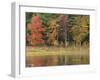 Trees during season change with reflection in lake-Jan Halaska-Framed Photographic Print