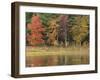 Trees during season change with reflection in lake-Jan Halaska-Framed Premium Photographic Print