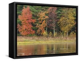 Trees during season change with reflection in lake-Jan Halaska-Framed Stretched Canvas