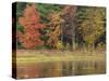 Trees during season change with reflection in lake-Jan Halaska-Stretched Canvas