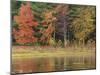 Trees during season change with reflection in lake-Jan Halaska-Mounted Photographic Print