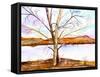 Trees Entwined-Neela Pushparaj-Framed Stretched Canvas