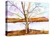 Trees Entwined-Neela Pushparaj-Stretched Canvas