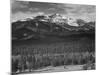 Trees Fgnd, Snow Covered Mts Bkgd "Long's Peak From North Rocky Mountain NP" Colorado 1933-1942-Ansel Adams-Mounted Art Print