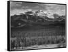 Trees Fgnd, Snow Covered Mts Bkgd "Long's Peak From North Rocky Mountain NP" Colorado 1933-1942-Ansel Adams-Framed Stretched Canvas