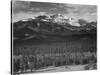 Trees Fgnd, Snow Covered Mts Bkgd "Long's Peak From North Rocky Mountain NP" Colorado 1933-1942-Ansel Adams-Stretched Canvas