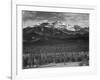 Trees Fgnd, Snow Covered Mts Bkgd "Long's Peak From North Rocky Mountain NP" Colorado 1933-1942-Ansel Adams-Framed Art Print