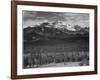 Trees Fgnd, Snow Covered Mts Bkgd "Long's Peak From North Rocky Mountain NP" Colorado 1933-1942-Ansel Adams-Framed Art Print