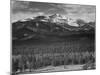 Trees Fgnd, Snow Covered Mts Bkgd "Long's Peak From North Rocky Mountain NP" Colorado 1933-1942-Ansel Adams-Mounted Art Print