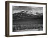 Trees Fgnd, Snow Covered Mts Bkgd "Long's Peak From North Rocky Mountain NP" Colorado 1933-1942-Ansel Adams-Framed Art Print