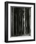 Trees, Germany, 1971-Brett Weston-Framed Premium Photographic Print