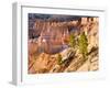 Trees Grow in Limestone at Bryce Canyon National Park, Utah, USA-Tom Norring-Framed Premium Photographic Print