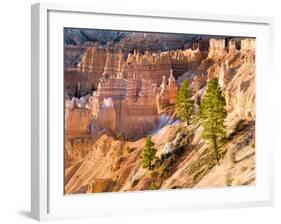 Trees Grow in Limestone at Bryce Canyon National Park, Utah, USA-Tom Norring-Framed Photographic Print