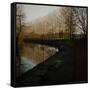 Trees Growing Along Canal in Bradford-Fay Godwin-Framed Stretched Canvas