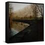 Trees Growing Along Canal in Bradford-Fay Godwin-Framed Stretched Canvas