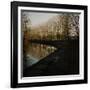 Trees Growing Along Canal in Bradford-Fay Godwin-Framed Giclee Print