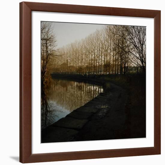 Trees Growing Along Canal in Bradford-Fay Godwin-Framed Giclee Print