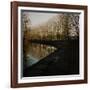 Trees Growing Along Canal in Bradford-Fay Godwin-Framed Giclee Print