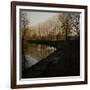 Trees Growing Along Canal in Bradford-Fay Godwin-Framed Giclee Print