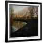 Trees Growing Along Canal in Bradford-Fay Godwin-Framed Giclee Print