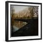 Trees Growing Along Canal in Bradford-Fay Godwin-Framed Giclee Print