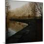 Trees Growing Along Canal in Bradford-Fay Godwin-Mounted Giclee Print