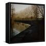 Trees Growing Along Canal in Bradford-Fay Godwin-Framed Stretched Canvas