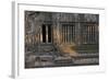 Trees Growing Through Building at Sunrise, Beng Mealea Temple, Near Angkor-Stephen Studd-Framed Photographic Print